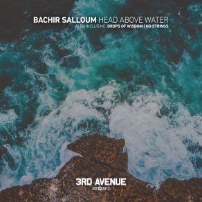 Download track Drops Of Wisdom Bachir Salloum