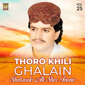 Download track Toun Marhun Shahr Jo Shehzado Ali Sher Tewno