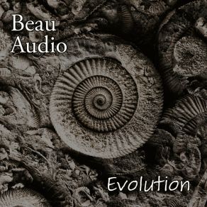 Download track You Ready (Radio Edit) Beau Audio