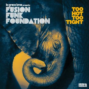 Download track Boogie Day Fusion Funk Foundation