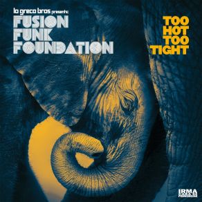 Download track Too Tight Fusion Funk Foundation