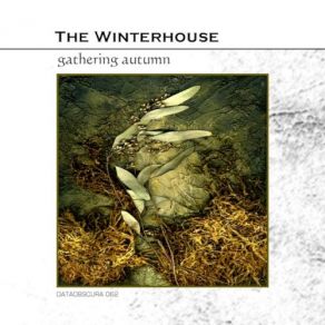 Download track Curious Pathways The Winterhouse