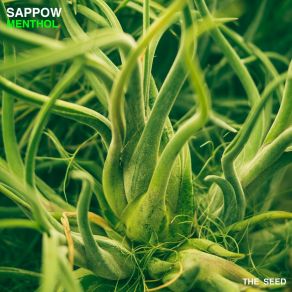 Download track Menthol Sappow