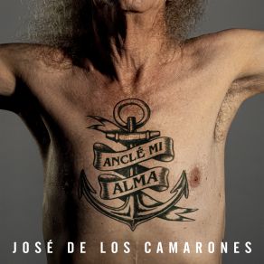 Download track Anclé Mi Alma José De Los Camarones