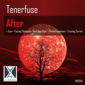 Download track Tracing Thirteens Tenerfuse