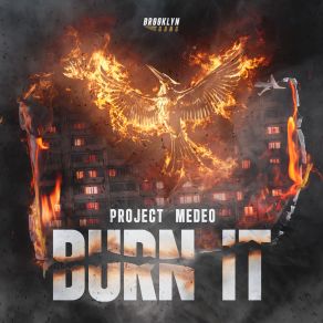 Download track Burn It Project MEDEO