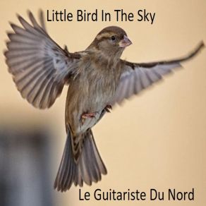 Download track Little Bird In The Sky Le Guitariste Du Nord