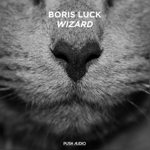 Download track Wizard Boris Luck