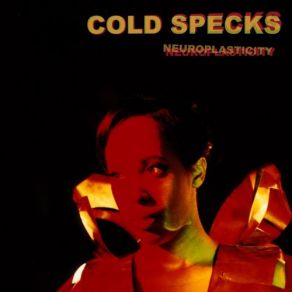 Download track A Season Of Doubt Cold Specks