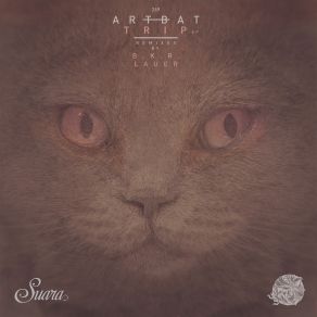 Download track Wall (Original Mix) Artbat