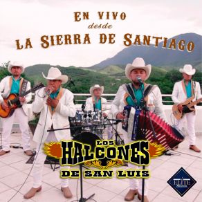 Download track Como Palomas (En Vivo) Los Halcones De San Luis