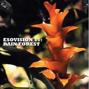 Download track Amazon Rain Forest Esovision