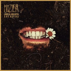 Download track Too Sweet Hozier