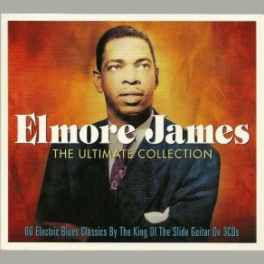 Download track Hawaiian Boogie Elmore James