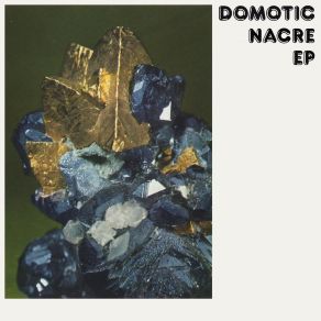 Download track Nacre Domotic