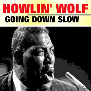 Download track Riding In The Moonlight Howlin' Wolf