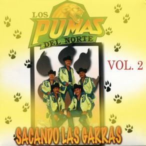 Download track Poco A Poco Los Pumas Del Norte