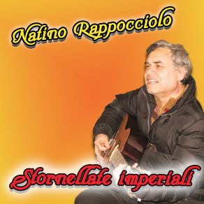 Download track Chitarra Sona Sona Natino Rappocciolo