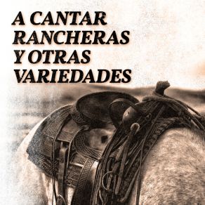 Download track Tu Recuerdo Y Yo - Ay Chavela Los Charrasqueados