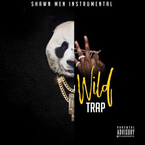 Download track Count To Nine Shawn Men Instrumental