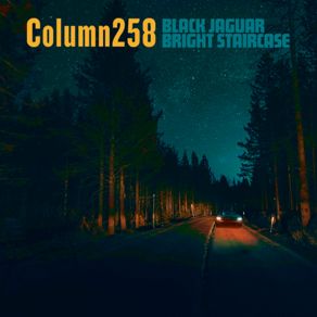 Download track Black Jaguar Column258