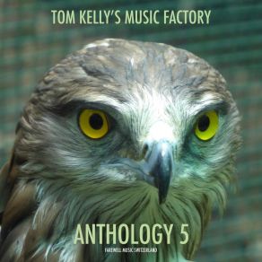 Download track Driving Back To The City Tom Kelly's Music Factory