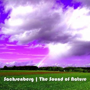 Download track The Sound Of Nature (Zweite Heimat Mix) Sachsenberg