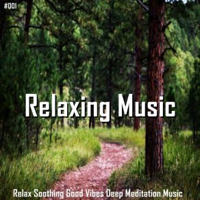 Download track The Love For Life Relaxing Music Therapy