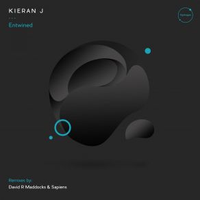 Download track Entwined (David R Maddocks Remix) Kieran J