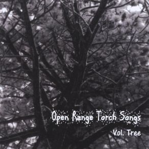 Download track Ginny From Kissimmee Open Range Torch Songs