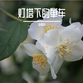 Download track 灯塔下的单车 李雨祥