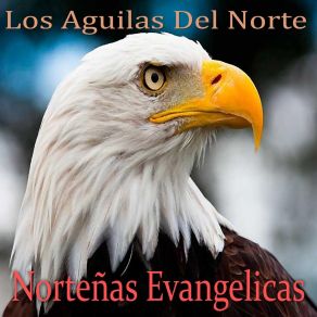 Download track El Revolucionario Los Aguilas Del Norte