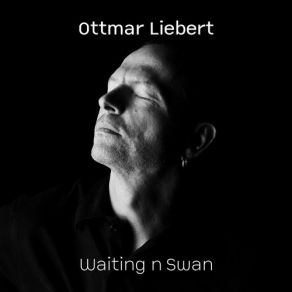 Download track Barcelona Nights (Reggae Version) Ottmar Liebert