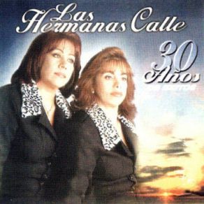 Download track Gaviota Traidora Las Hermanas Calle