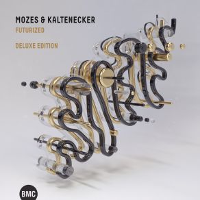 Download track Waterbird Waves Mozes & Kaltenecker