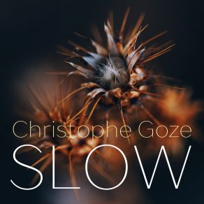 Download track She Said (Revisited) Christophe GozeOdis Palmer