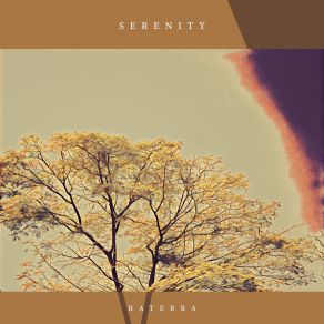 Download track Serenity Raterra