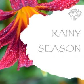 Download track Rain Sounds - Weekend Relaxation Natural Spirit