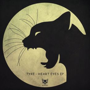 Download track Heart Eyes (Original Mix) Tyke (US)