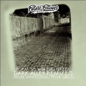 Download track Dark Alley Remixes (Frenk Dublin Remix) Bud Green, FORM '95