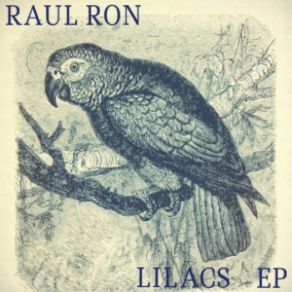 Download track Look Into The Night Raul Ron