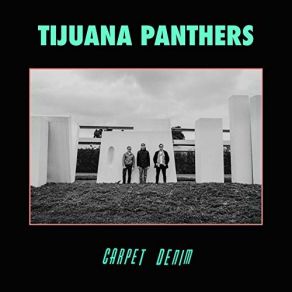 Download track Garbage Person Tijuana Panthers