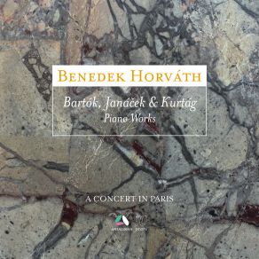 Download track Improvisations On Hungarian Peasant Songs, Op. 20, Sz. 74, BB 83 VIII. Allegro - Largamente (Live) Horváth Benedek