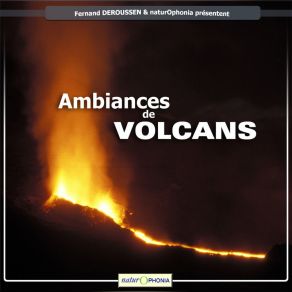 Download track Geyser Strokkur Fernand Deroussen