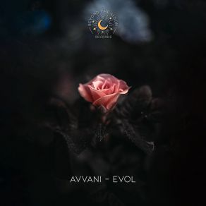 Download track Evol Avvani