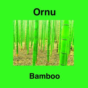 Download track Bamboo 2 Ornu