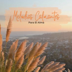 Download track Cascadas Serenas David Melodías Relajantes