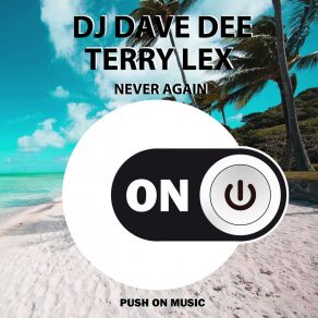 Download track Never Again (Radio Edit) Dave Dee