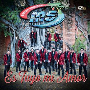 Download track Es Tuyo Mi Amor Banda Sinaloense MS De Sergio Lizárraga