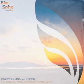 Download track Mary (Miroslav Vrlik Remix) Project 8